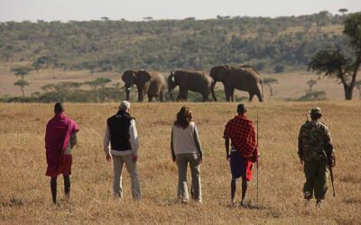 Walking Safari in Crescent Island in Naivasha