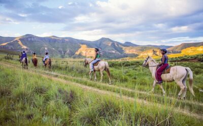Horse Riding in Sanctuary Farm Naivasha