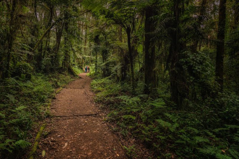 Marangu Route with World Adventure Tours