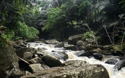 Marangu Waterfalls Tour