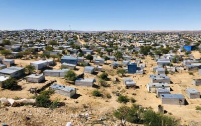 Nam Flava Township Tour