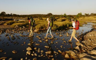 Walking Safari