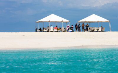 Nakupenda Tour + Sandbank Picnic (lunch included)
