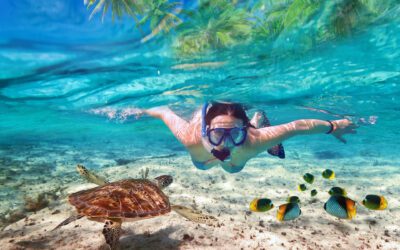 Snorkeling Trip to Mnemba Atoll
