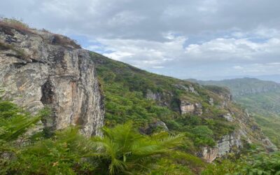 Usambara Mountains