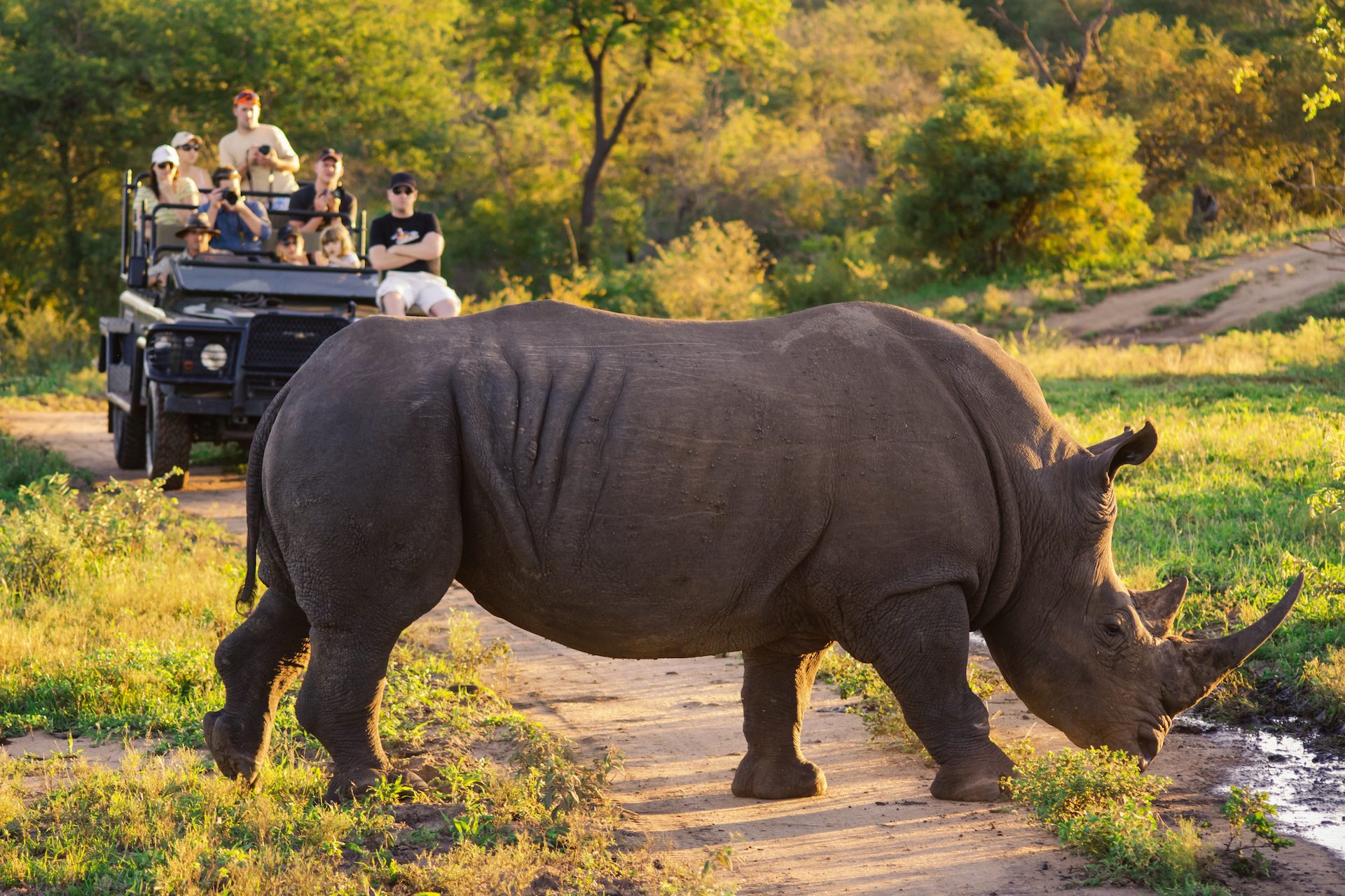 The Best Uganda has to offer with World Adventure Tours