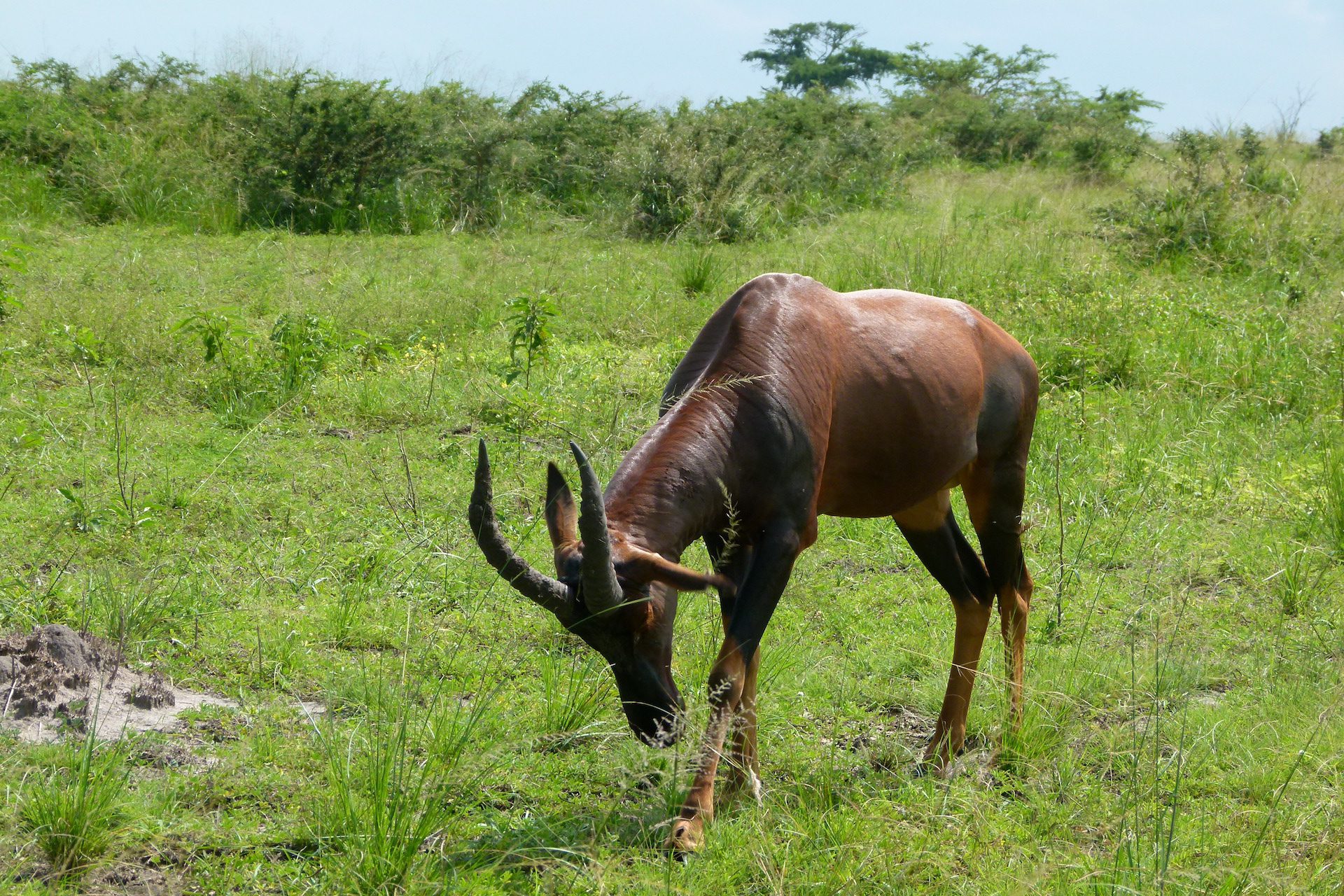 Travel to Uganda with World Adventure Tours