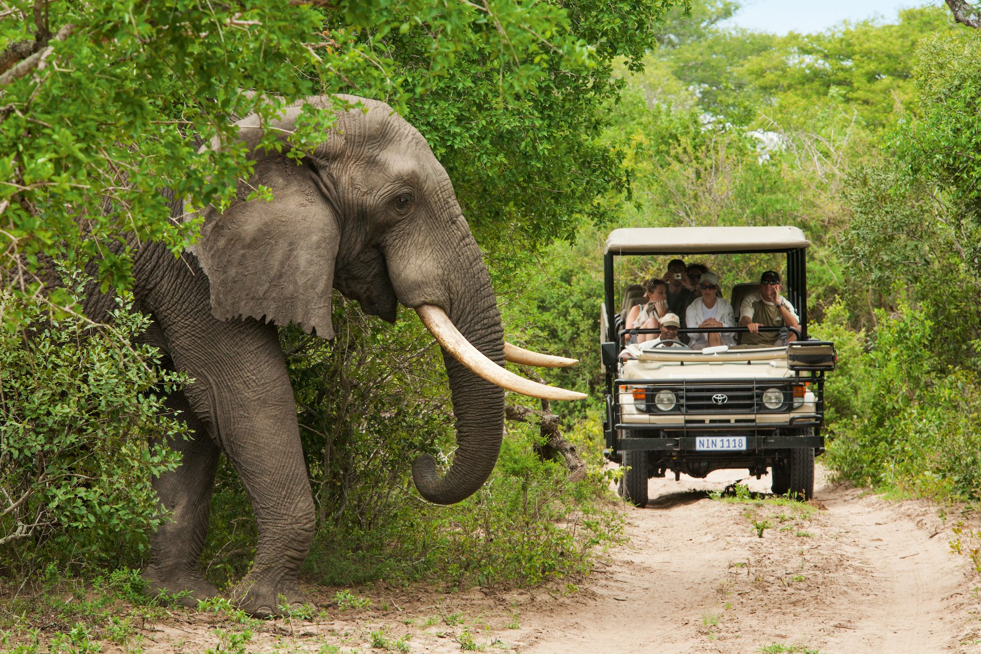 Highlights of Uganda with World Adventure Tours