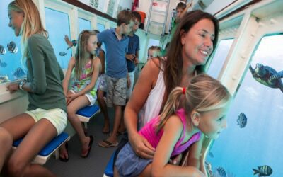 Submarine Underwater Coral Tours