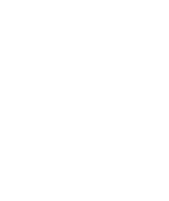 Safari